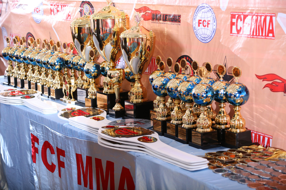 Отчет 7-го Чемпионата и Первенства Мира FCF-MMA 2017