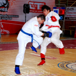 International Tournament of Absolute Fights in FCF-MMA 2008
