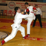 Tournament of Russia in Championship of Russia among juniors in FCF-MMA 2006