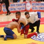 axm_0286