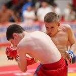 axm_0308