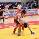 axm_0447