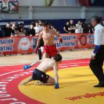 axm_0569
