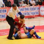 axm_0933
