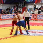 axm_1295