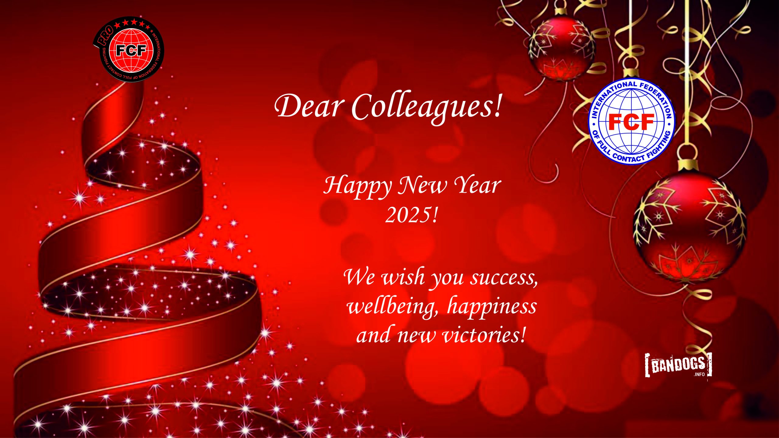 Happy New Year 2025!