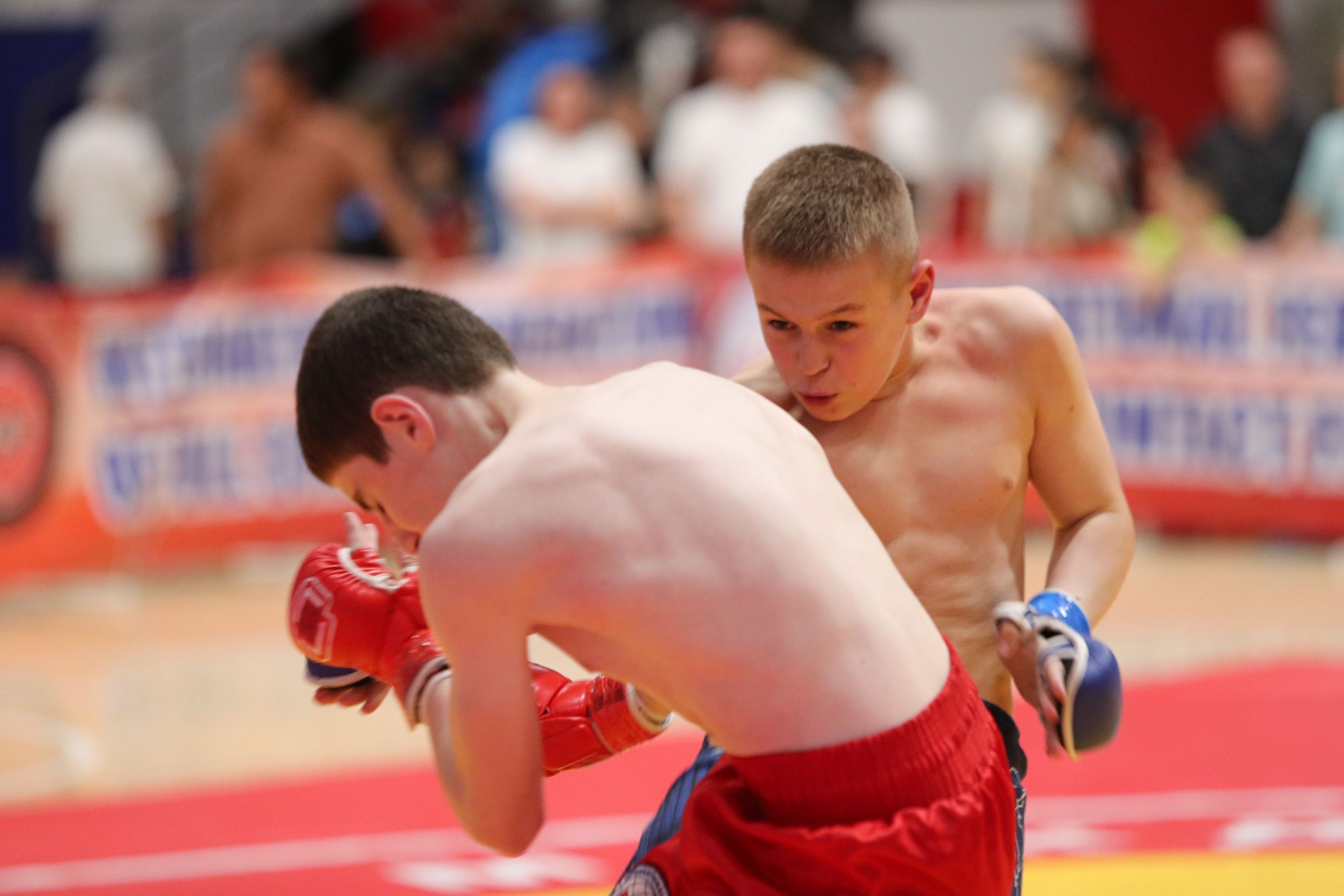 ФОТО 18-го ЧЕМПИОНАТА МИРА и Международного Турнира «WARRIOR» по ПРБ FCF 2025